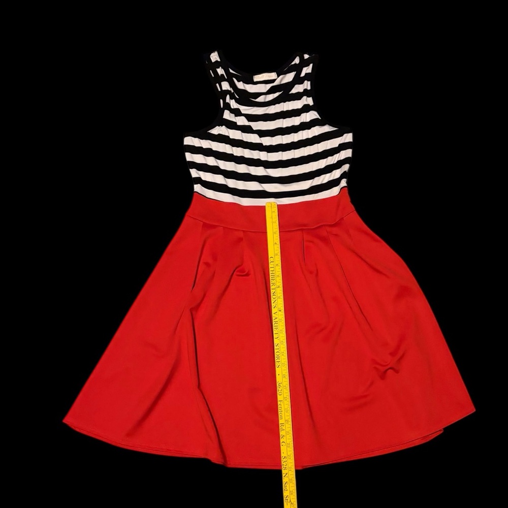 Striped Black and White Top with Red Skirt Dress - Picture 8 of 13